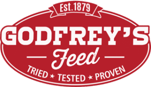 godfreys logo 2020